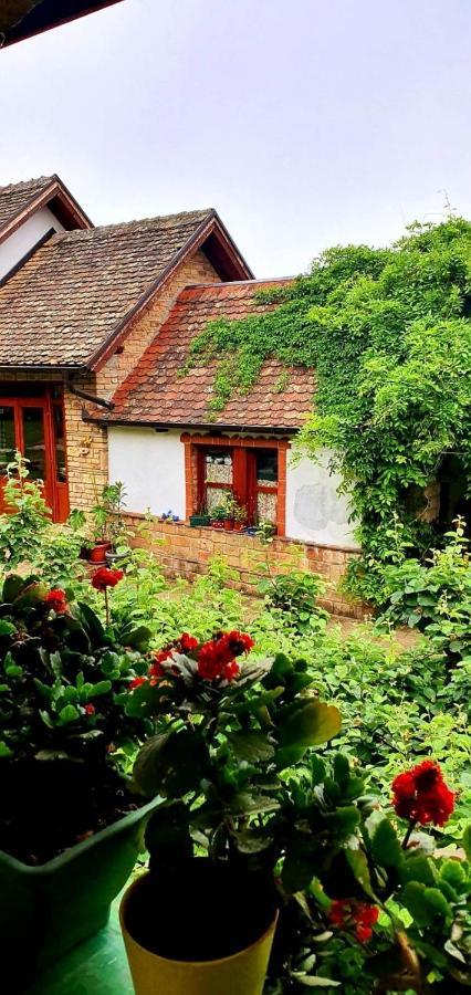 Ilkicev Kucerak Apartman Vrdnik Exteriér fotografie