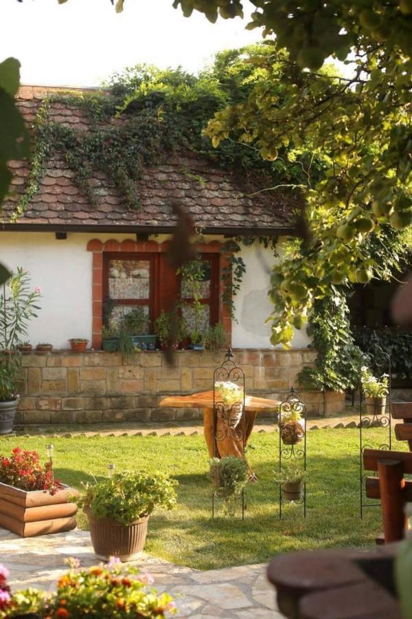 Ilkicev Kucerak Apartman Vrdnik Exteriér fotografie